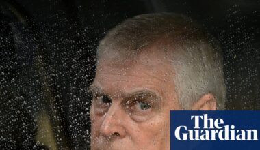 MPs considering investigation into Andrew’s role as UK trade envoy | Andrew Mountbatten-Windsor