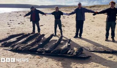 A model of 16th century ship the Fame from Hoorn. A red square indicated where the hull is located in the lower part of the vessel.