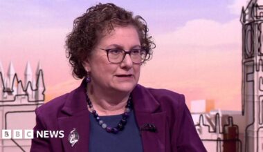 Hilary Cass on the Sunday With Laura Kuenssberg set. She has medium-length curly brown hair and is wearing a purple jacket, dark blue top and has a large purple bead necklace and purple bead earrings.