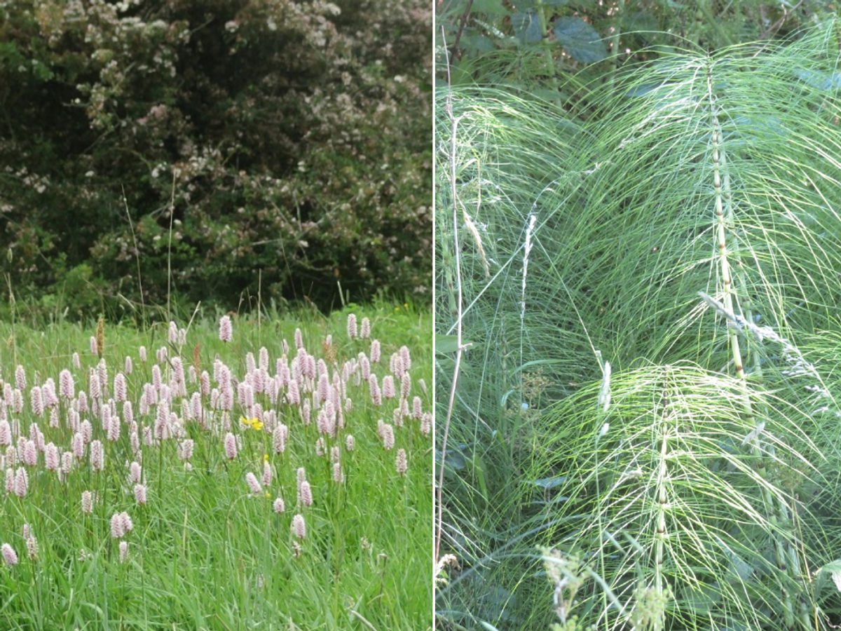 Supporting image for story: Date clocks spring forward and if your clocks will update automatically - why they change on a weekend