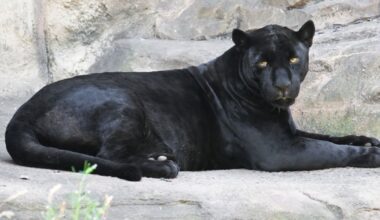 Gloucestershire Live