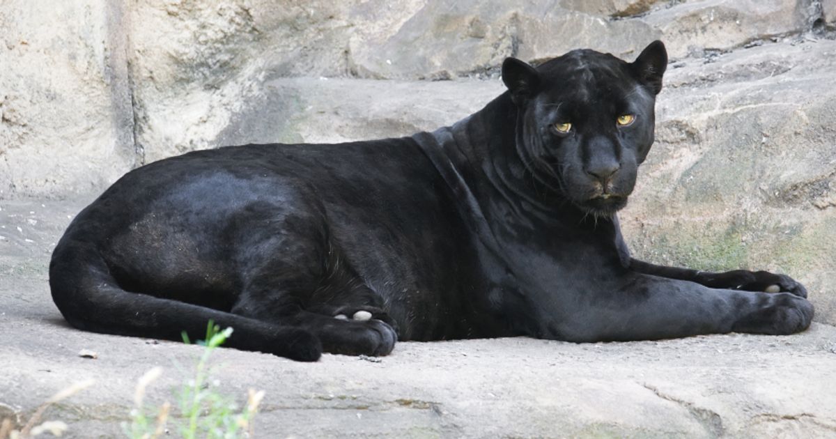 Gloucestershire Live