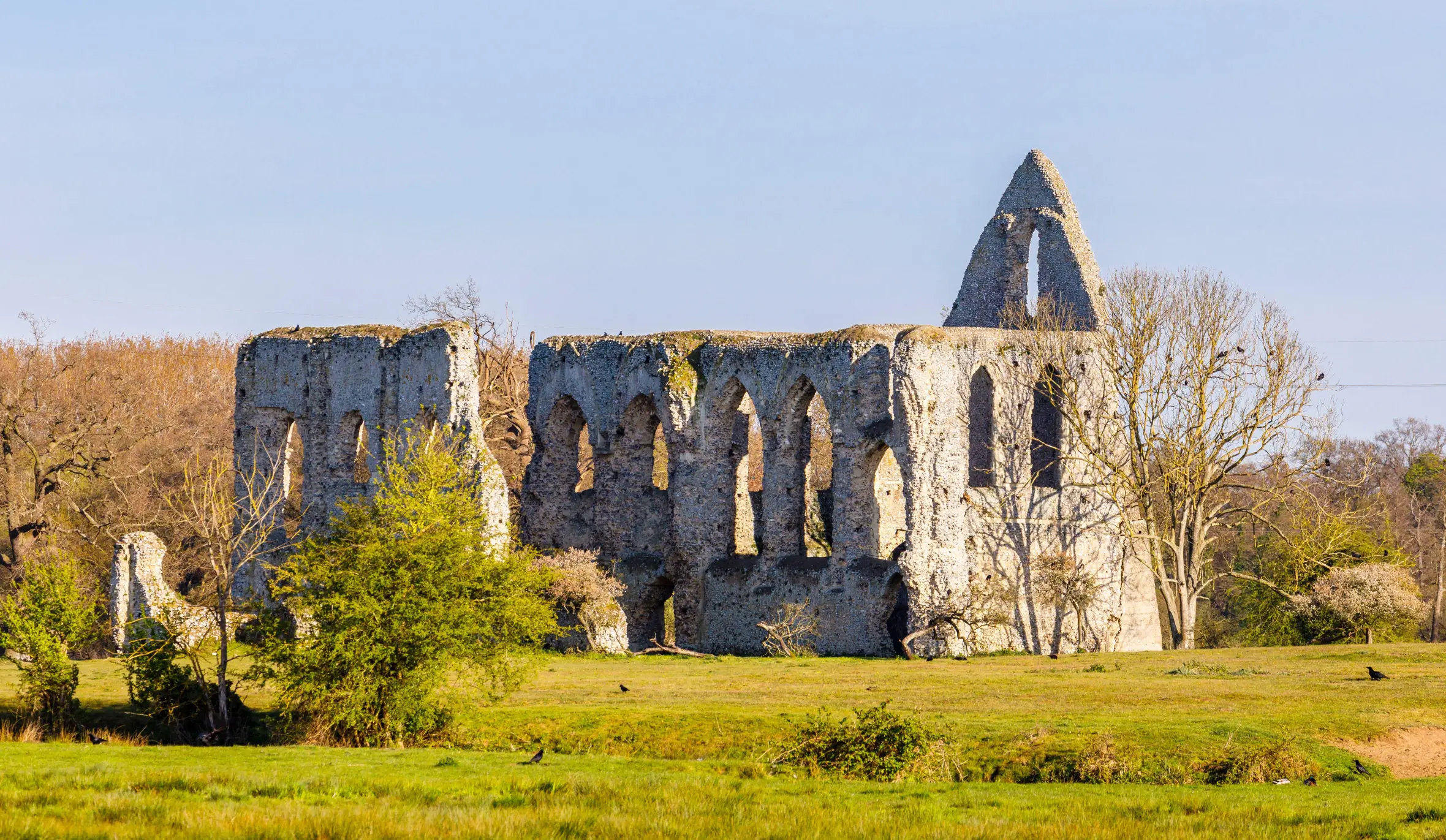 Ruins of Newark Priory, an Augustinian priory by the River Wey, a scheduled monument near Ripley and Pyrford, Surrey, inaccessible on private land.