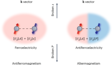Altermagnetic multiferroics with symmetry-locked magnetoelectric coupling