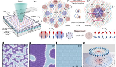 Super-moiré spin textures in twisted two-dimensional antiferromagnets