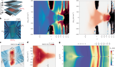 Observation of dissipationless fractional Chern insulator