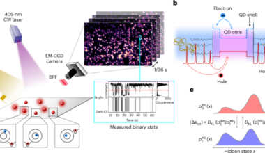 Non-equilibrium entropy production and information dissipation in a non-Markovian quantum dot