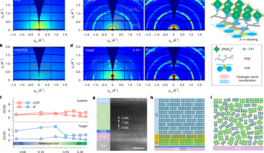 Maximizing perovskite electroluminescence with ordered 3D/2D heterojunction