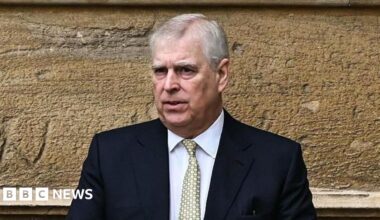 MPs may investigate Andrew over trade envoy claims