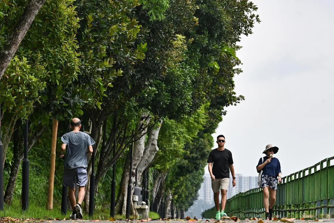 Subscribe Placeholder