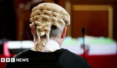 A generic image of the back of a lawyer's head in a courtroom - he is wearing a black robe and the traditional advocate's wig