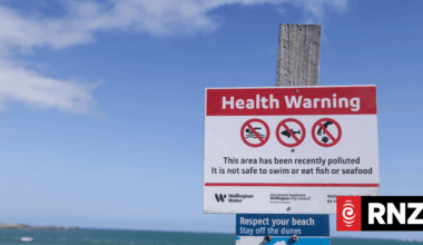 'Catastrophic failure': Wellington mayor describes plant's leak as environmental disaster