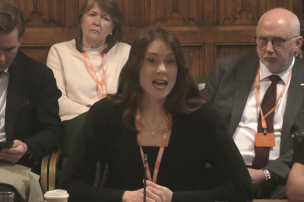 Kate Nash tells MPs: I sell pictures of my bum on the internet to fund my tour - London Evening Standard