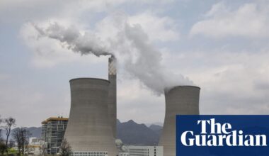 Businesses must take responsibility for biodiversity loss – for their sake as much as ours | Environment