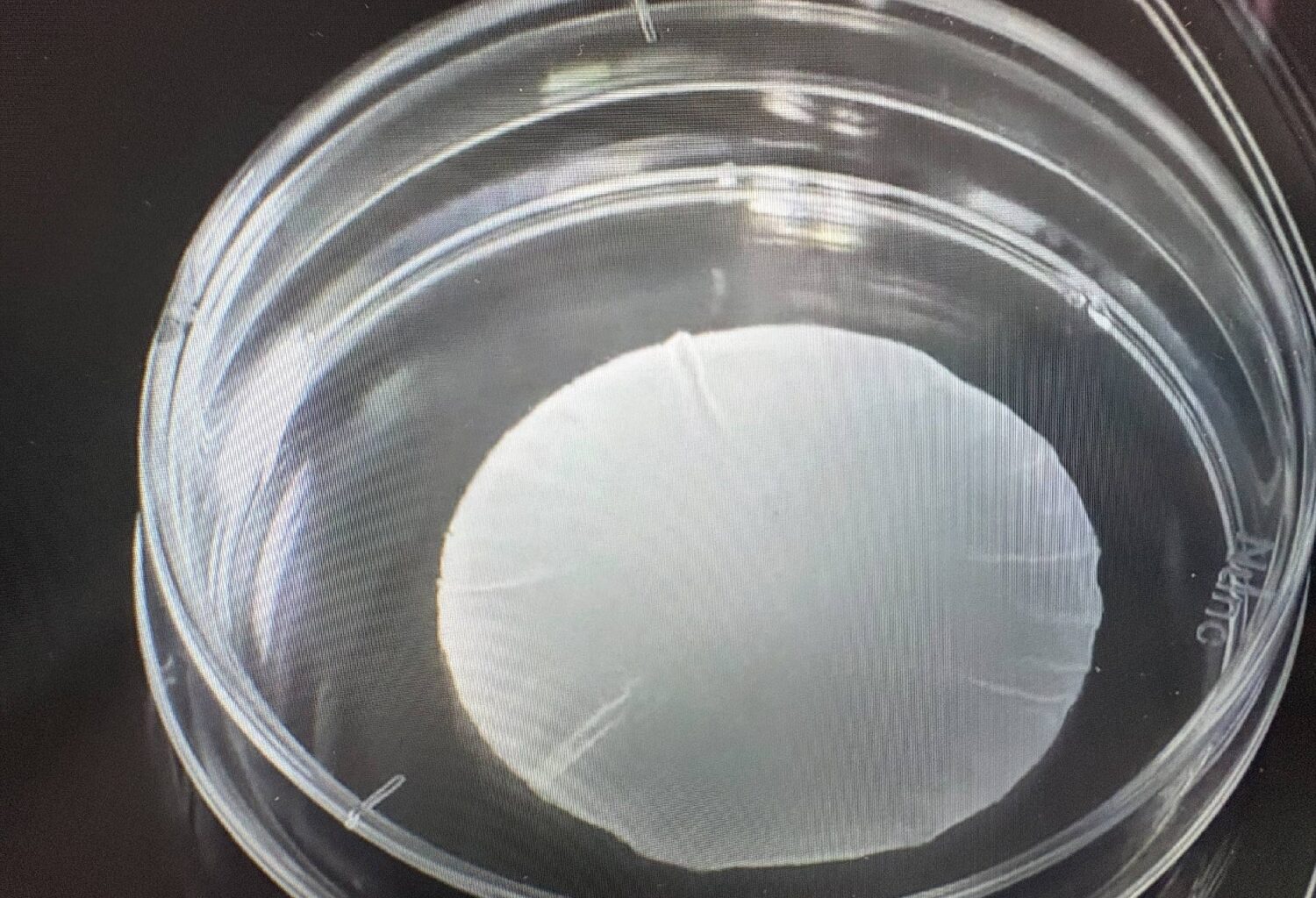 iPS cell-based products win conditional approval from health ministry panel