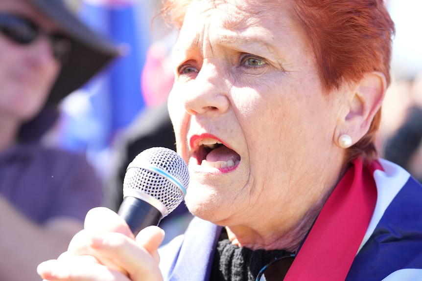 Pauline Hanson spoke at an anti-immigration march in Canberra.
