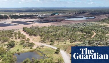 Qld coalmine expansion approved by Albanese government will clear habitat and fuel climate crisis, scientists say | Coal