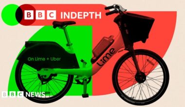 BBC InDepth
