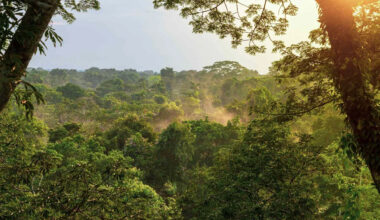 Experts Issue Warning After Discovering Species That Is New to Science