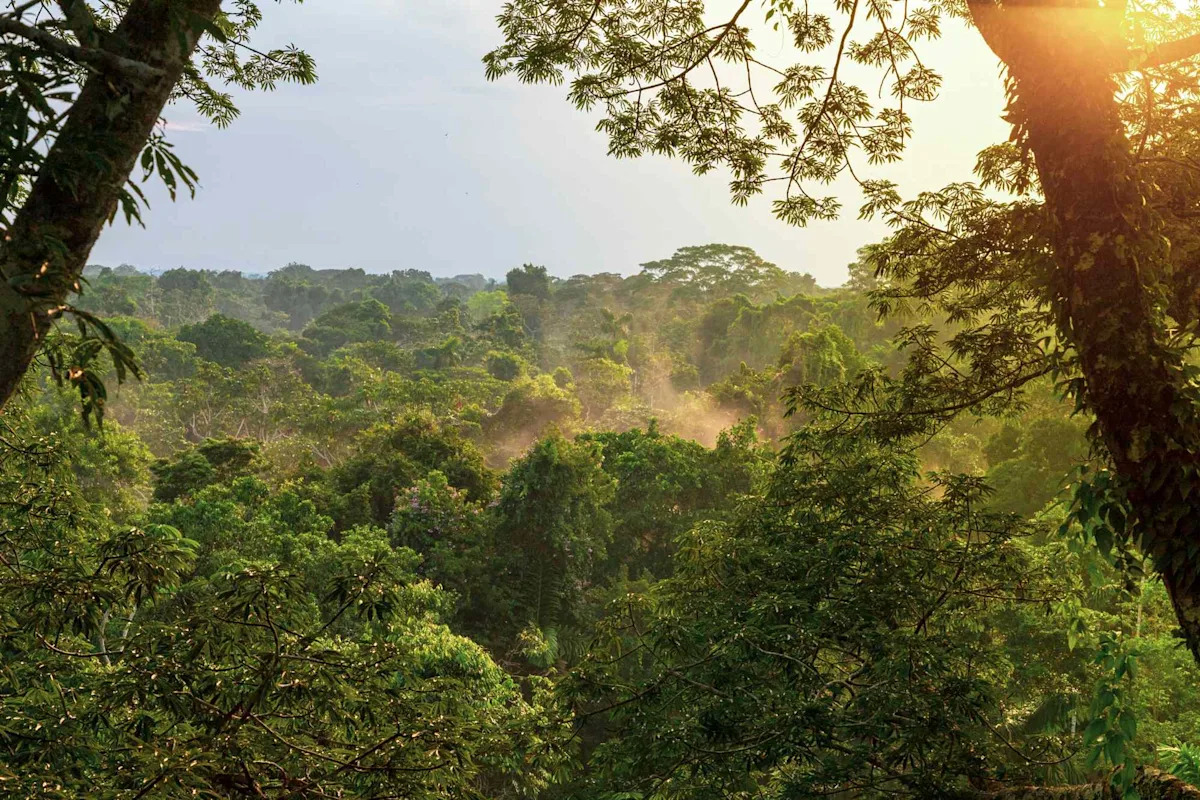 Experts Issue Warning After Discovering Species That Is New to Science