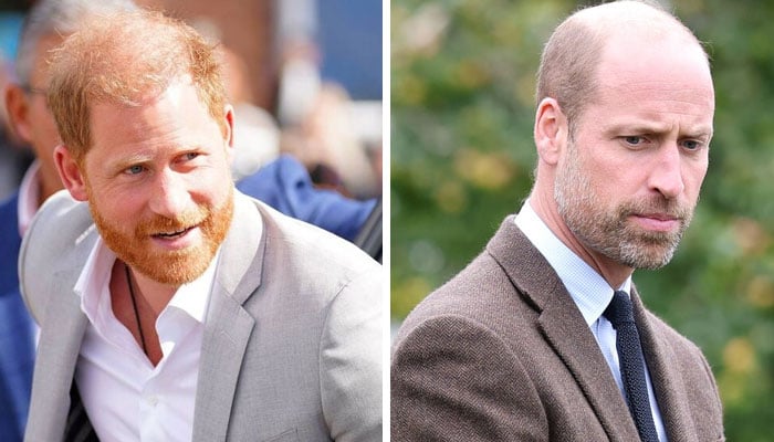 Prince Harry’s secret move to reconcile with Prince William laid bare