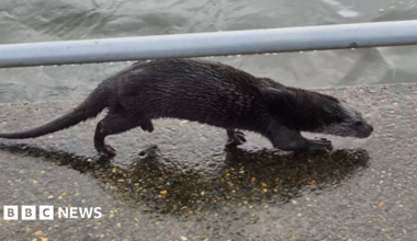 An Iranian man holds up a bunch of green, red and white balloons near a ballistic missile during celebrations marking the 47th anniversary of the Islamic revolution in Tehran, Iran (11 February 2026)