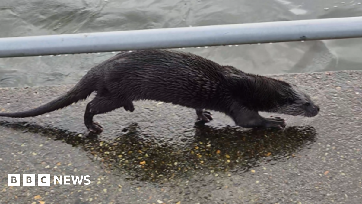 An Iranian man holds up a bunch of green, red and white balloons near a ballistic missile during celebrations marking the 47th anniversary of the Islamic revolution in Tehran, Iran (11 February 2026)
