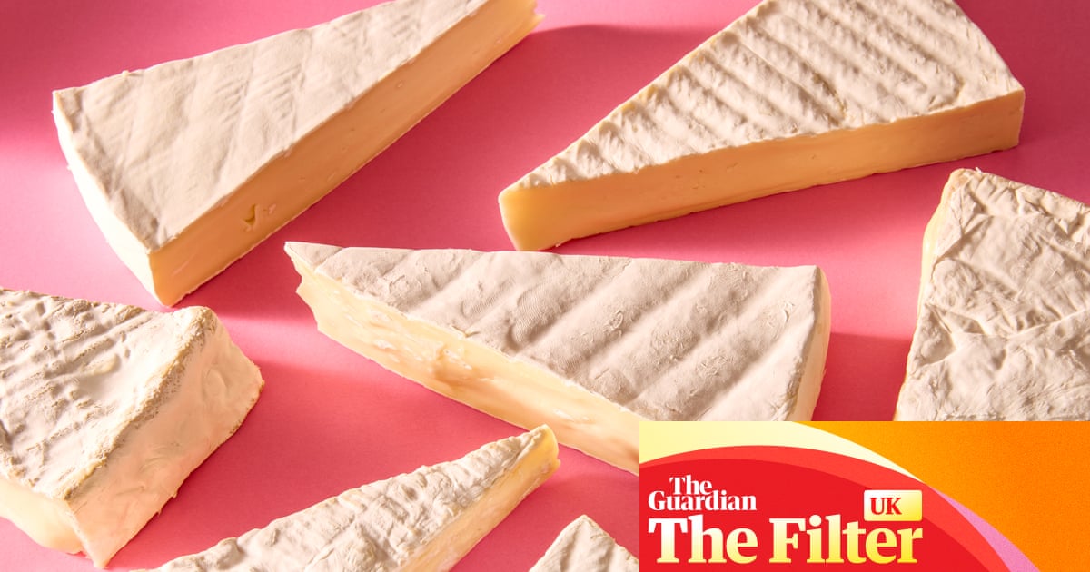 ‘Melts into an oozy blob’: the best supermarket brie, tasted and rated | Cheese