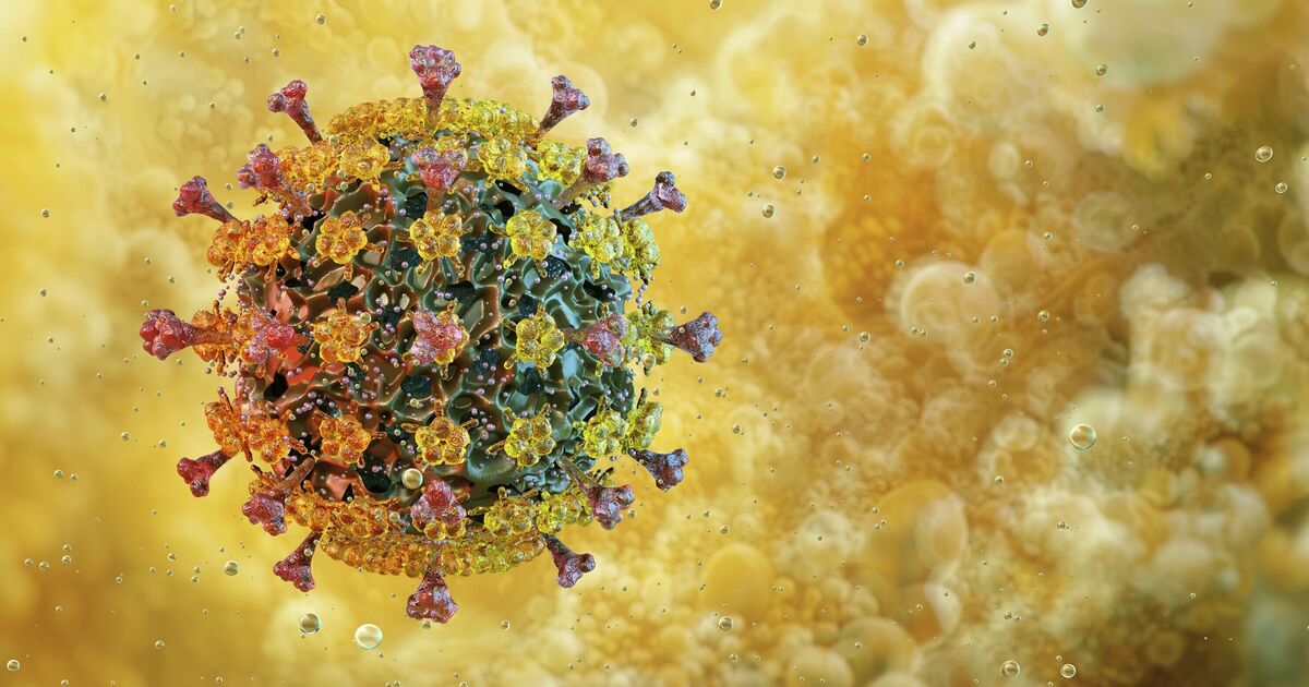 ‘Most infectious flu outbreaks yet’ sparks pandemic warning — 92 in UK since October | UK | News