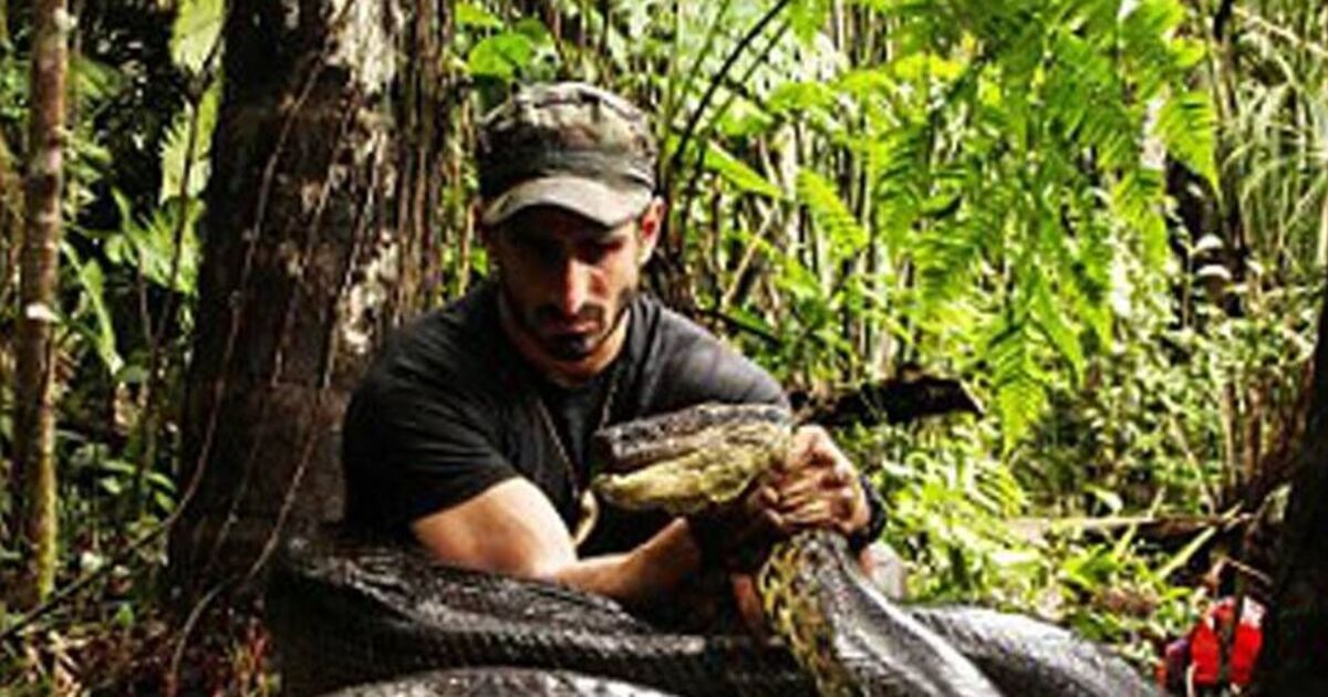 Amazon explorer gets lost in middle of jungle and wakes to something terrifying | World | News