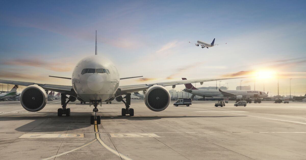 UK travel company collapses into administration - all flights cancelled | UK | Travel