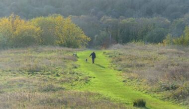 Anyone with a dog warned about new rule change | UK | News