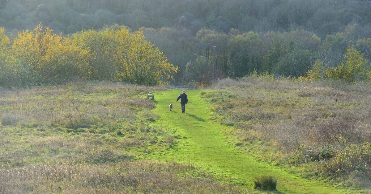 Anyone with a dog warned about new rule change | UK | News