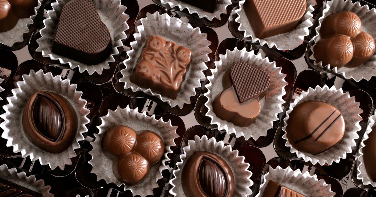 UK luxury chocolate shop falls into administration – 'best in London' | UK | News