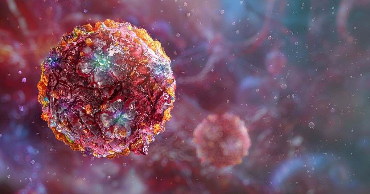 Panic as terrifying tropical disease nears UK borders | World | News