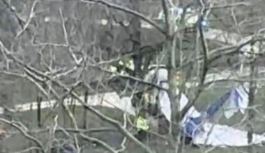 Horror as plane crashes into field near Masham | UK | News