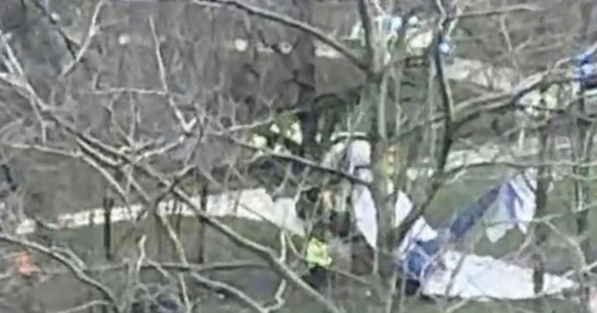 Horror as plane crashes into field near Masham | UK | News