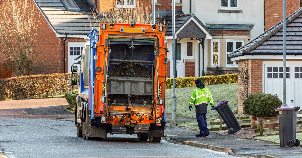 New 'four bin' rules for every home in England from March | UK | News
