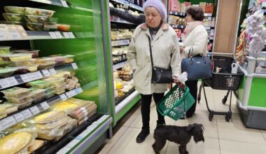 Russia economy meltdown as cucumber price skyrockets by 111% | World | News