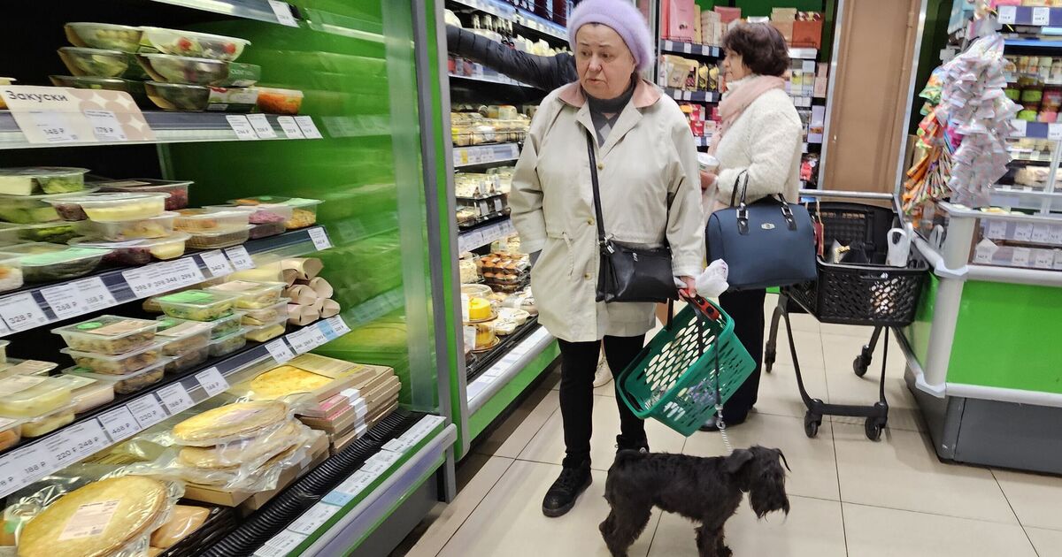 Russia economy meltdown as cucumber price skyrockets by 111% | World | News