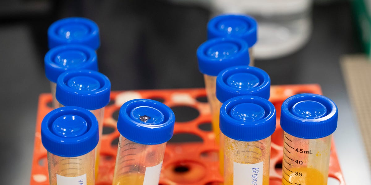 Inside a Supplement Factory Beloved by Influencers and Doctors