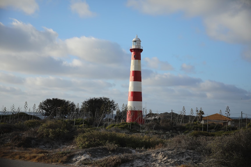 Lighthouse with shrubs in the foreground.