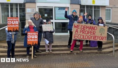 Campaigners outside Cumberland Council headquarters. They hold reading, protect our wildlife. Another reads, we demand a proper ecology report.
