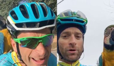 'They will fly together again' – Franky the parrot, Michele Scarponi's viral training partner, dies in factory fire