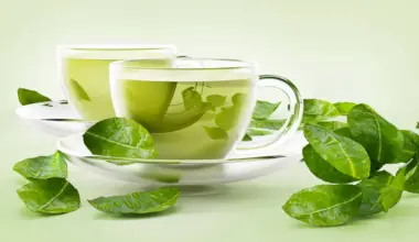 7 Antioxidant-Rich Drinks to Try If You Don’t Like Green Tea