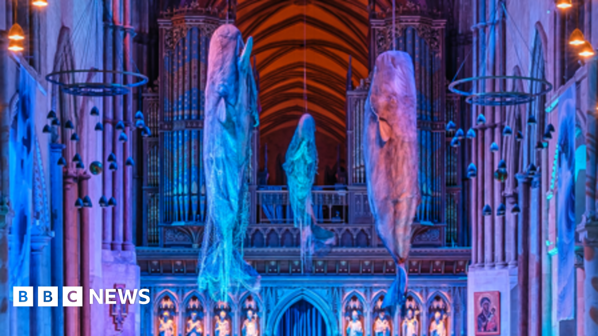 Three models of sperm whales hang in the nave of Winchester Cathedral, which has been lit in blue to recreate the ocean.
