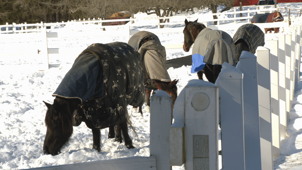 Red Rock Farm (WJAR)