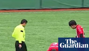 How CPR on a seagull helped restore moral goodness to Turkish football | Soccer