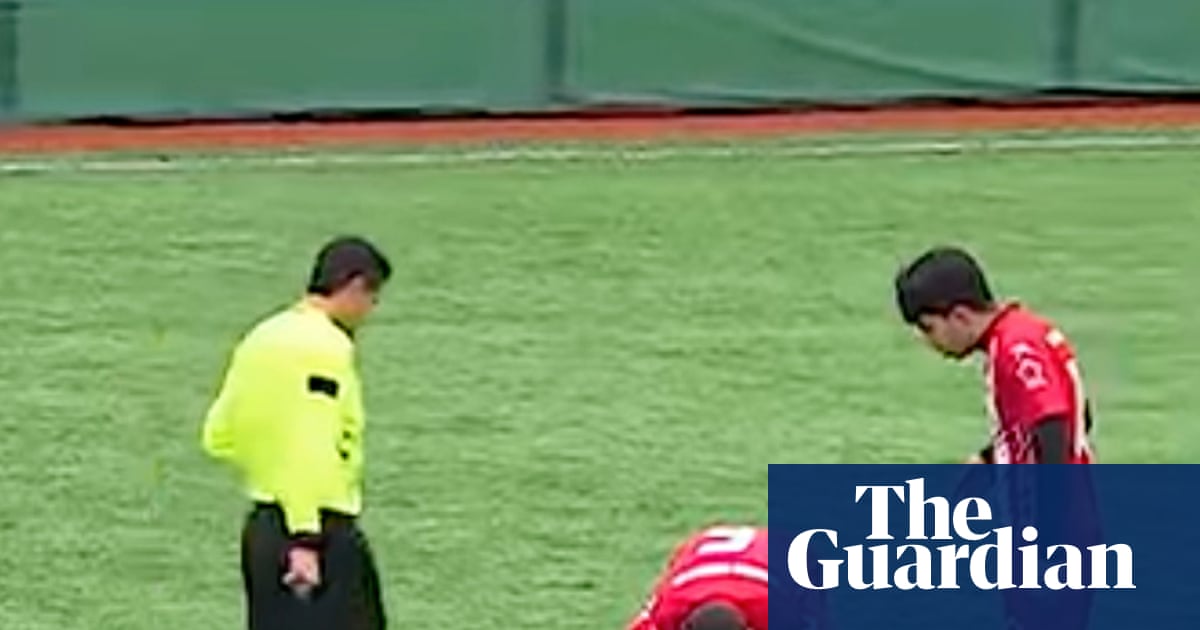 How CPR on a seagull helped restore moral goodness to Turkish football | Soccer