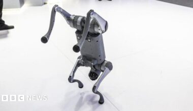 A Unitree Go2 quadruped robotic dog demonstration at the MWC25 tech show in Barcelona, Spain, on Monday, March 3, 2024. The Mobile World Congress tech show runs March 3-6.